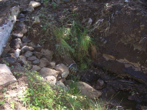 1991 Ford Bronco - A natural scene showing a rocky slope with vegetation and a drainage pipe.