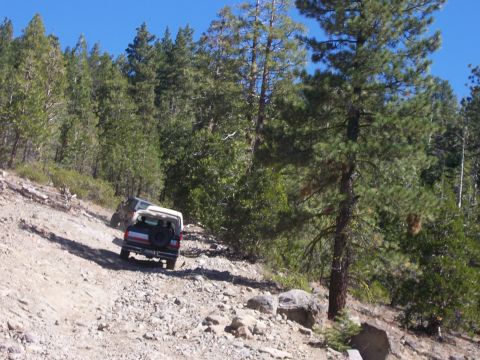 1991 Ford Bronco - Two SUVs navigate a steep, unpaved road through a forest on a clear day.