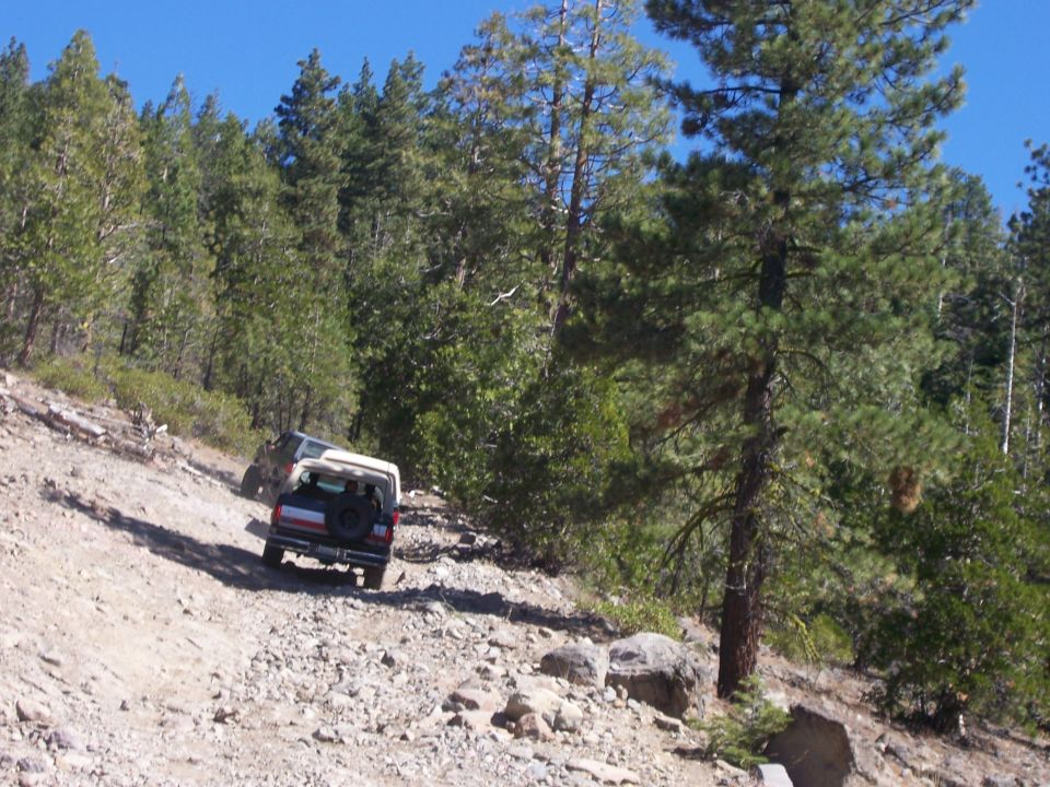 Two SUVs driving up a rocky, wooded hill. One is white with a spare tire on the back