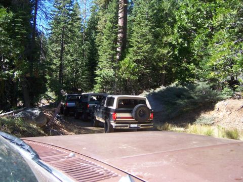 1991 Ford Bronco - A line of SUVs, including a Ford Bronco, drive down a wooded dirt road.