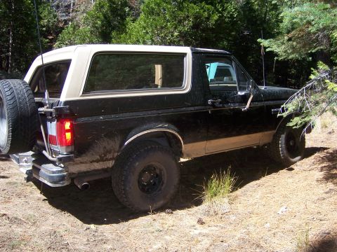 1991 Ford Bronco - This Ford Bronco is parked off-road, surrounded by trees and dry grass.