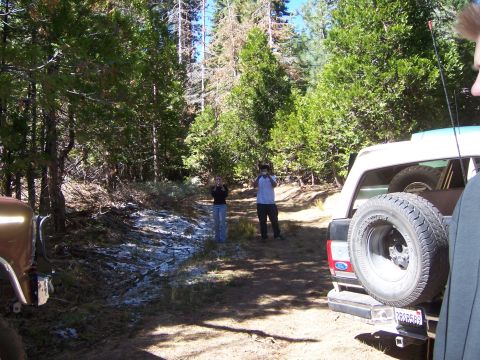1991 Ford Bronco - A 1992 Ford Bronco is parked on a dirt road in a wooded area, with two people standing in the background.