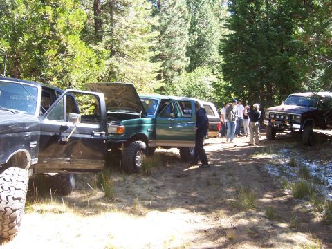 1991 Ford Bronco - Modified trucks gathered in a wooded area, with hoods open on at least two vehicles.