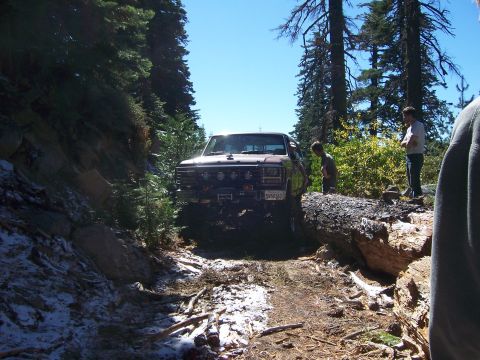 1991 Ford Bronco - A truck navigates a rough, wooded trail, encountering an obstacle.