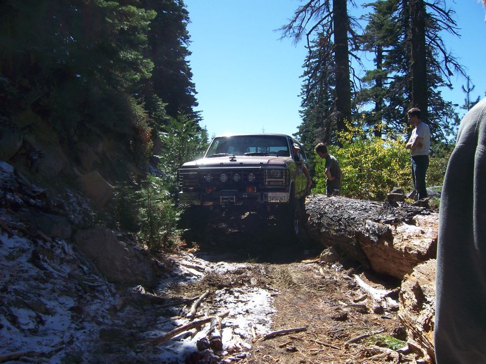Truck on a dirt path with a fallen tree blocking the way. Two people stand nearby