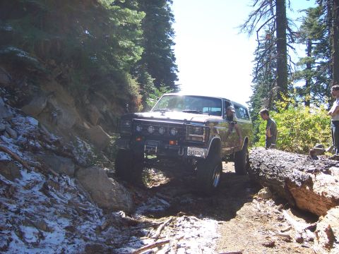 1991 Ford Bronco - A Ford Bronco navigates a challenging off-road trail with a large fallen tree blocking the path.
