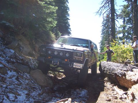 1991 Ford Bronco - Ford Bronco tackling a challenging off-road path in a forest setting.