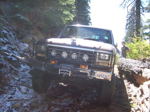 1991 Ford Bronco - This vehicle navigates a challenging off-road trail, with a person standing by a fallen tree in the background.