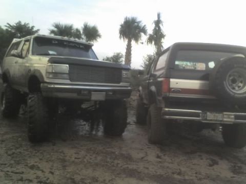 1995 Ford Bronco - Two lifted Ford Broncos are seen in a muddy off-road environment, with palm trees in the background.