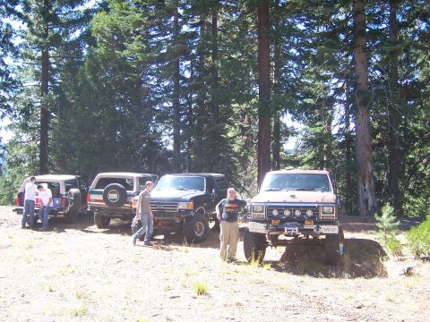 1991 Ford Bronco - Several off-road vehicles, including a 1991 Ford Bronco, are parked in a forest clearing.