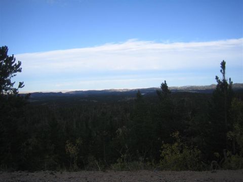 1987 Suzuki Samurai - A vast expanse of dark forest stretches towards distant mountains under a bright blue sky.