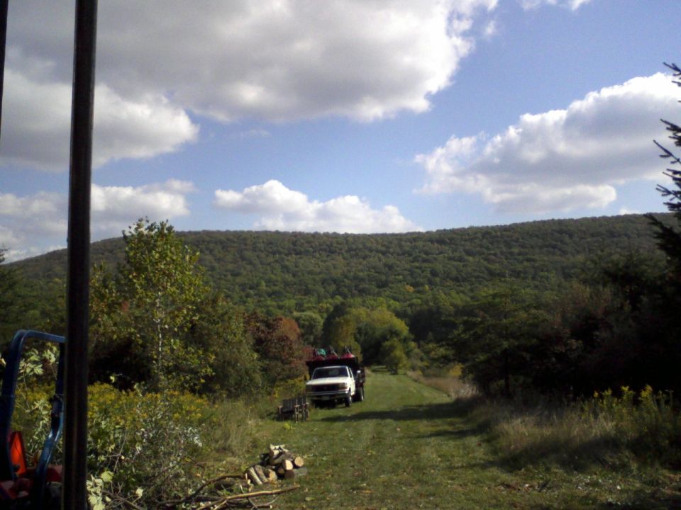 White flatbed pickup on a grassy trail overlooking a forested valley