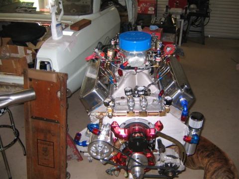 1995 Ford Bronco - A custom V8 engine with a blue air cleaner and chrome valve covers is displayed in a garage setting.
