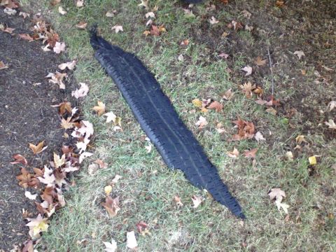 1996 Mercury Grand Marquis - A piece of tire tread is on the ground next to a curb, surrounded by fallen leaves.
