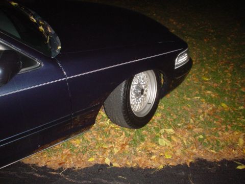 2000 Ford Crown Victoria - Night flash shot of the front corner of a dark blue full-size sedan parked on a leaf-covered lawn edge, framed low to show the front fender…