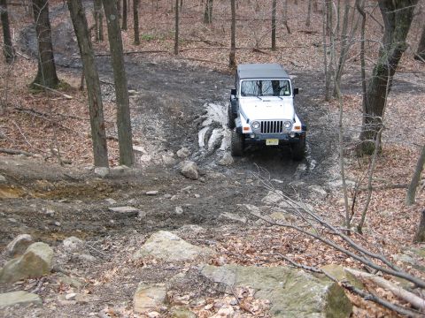 1990 Ford Bronco - A Jeep navigates a challenging off-road path through a forest.