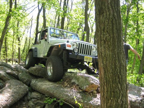 1990 Ford Bronco - A Jeep navigates a rocky path through a dense forest, with a person visible in the background.