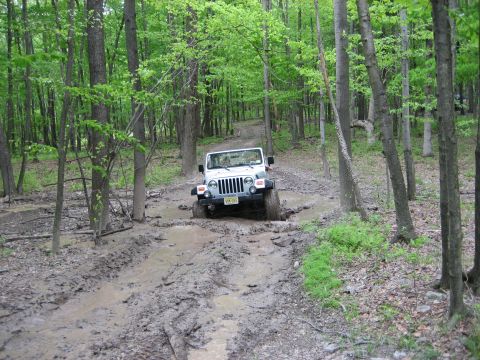 1990 Ford Bronco - A white Jeep Wrangler tackles a challenging muddy path through a dense forest.