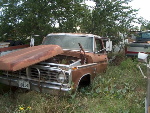 1979 Ford Bronco - A weathered pickup truck sits in a junkyard, its hood propped open, surrounded by overgrown grass and other vehicles.