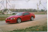 2002 Ford Mustang - untamed racing