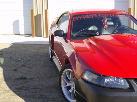 2002 Ford Mustang - new body kit