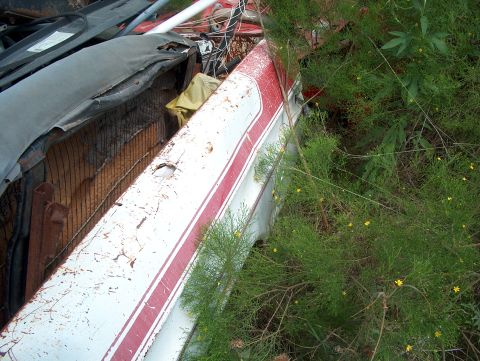 1979 Ford Bronco - A damaged white car fender with a red stripe is seen amongst overgrown green plants and other scrap metal.