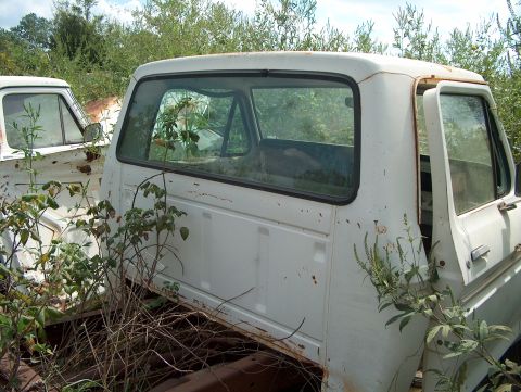 1979 Ford Bronco - Overgrown weeds surround the side of a white truck cab in a junkyard.
