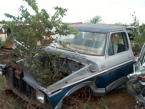 1979 Ford Bronco - A 1979 Ford F-Series truck sits in a junkyard, its engine bay filled with plants.
