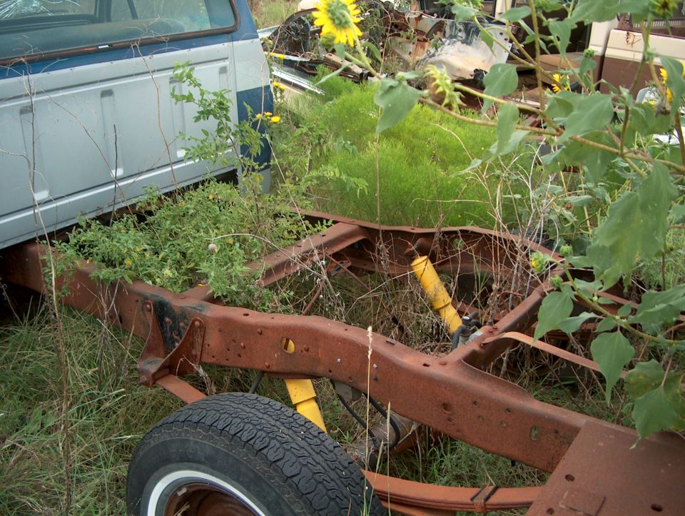 Rusted chassis of a 1979 Ford Bronco with yellow shock absorbers and overgrown weeds, viewed from the side