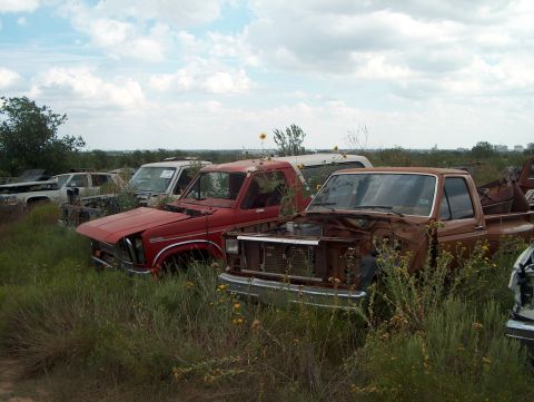 1979 Ford Bronco - A collection of abandoned trucks are overgrown with weeds under a cloudy sky.
