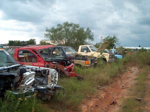 1979 Ford Bronco - A collection of abandoned vehicles are overgrown with weeds in a rural junkyard.