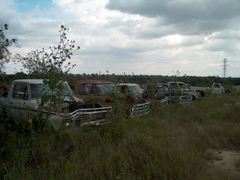 1979 Ford Bronco - A collection of weathered trucks sits in a field, overgrown with weeds and wildflowers, under a cloudy sky.
