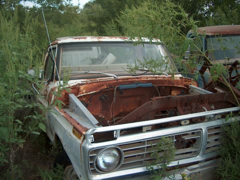1979 Ford Bronco - This weathered Ford pickup truck sits abandoned, partially obscured by overgrown vegetation and another vehicle.