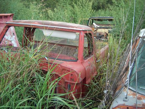 1979 Ford Bronco - Two old pickup trucks sit abandoned in a field of tall grass, their bodies weathered and worn.