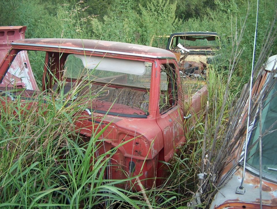 Red pickup truck cab and bed overgrown with grass, side view. Another yellow truck cab is visible behind it