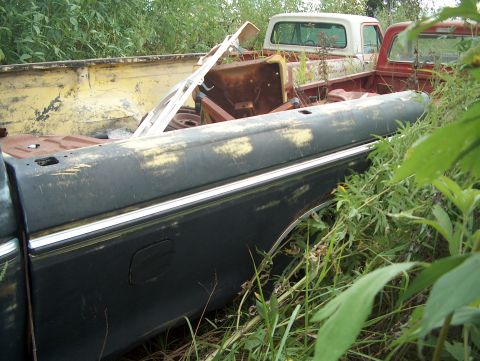 1979 Ford Bronco - Multiple trucks are visible in this junkyard scene, with the focus on the side of a dark truck bed.