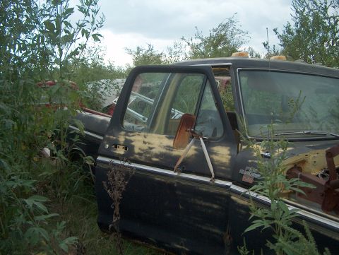 1979 Ford Bronco - Junkyard Bronco shows its age with rust and overgrowth. The Bronco badge is still visible.