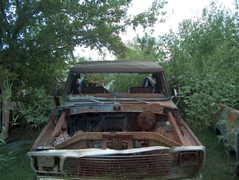 1979 Ford Bronco - This heavily rusted pickup truck sits abandoned, with its engine compartment exposed and vegetation encroaching.
