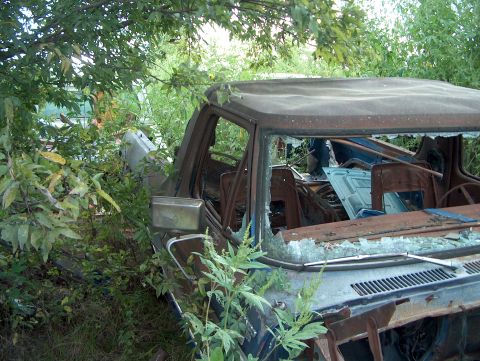 1979 Ford Bronco - A heavily rusted 1978 Ford Bronco sits abandoned, consumed by vegetation and showing a broken windshield.