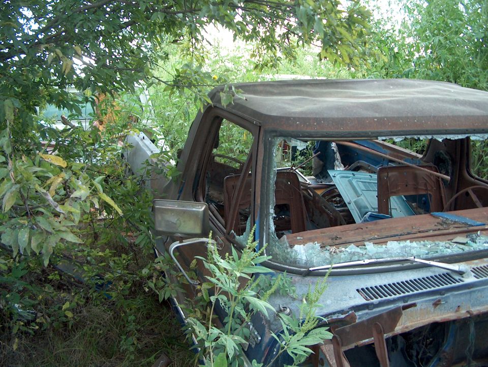 Rusted 1978 Ford Bronco interior and front end overgrown with weeds, broken windshield