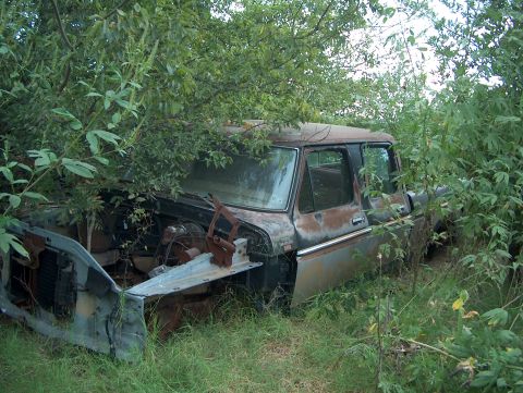 1979 Ford Bronco - This old pickup truck is partially hidden by dense foliage, showing signs of significant rust and disrepair.