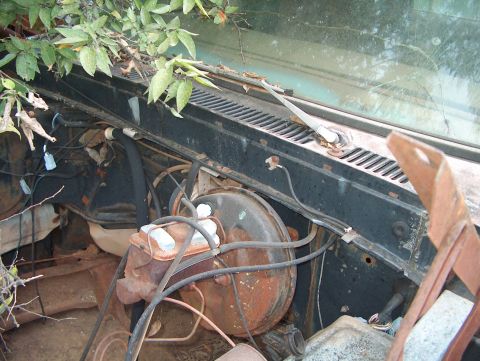 1979 Ford Bronco - The engine bay of a dilapidated 1978 Ford Bronco shows significant rust and is partially obscured by plant growth.