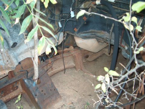 1979 Ford Bronco - The engine bay of a 1979 Ford Bronco shows significant rust and is partially obscured by foliage.