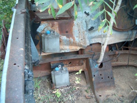 1979 Ford Bronco - A tree grows through the heavily rusted frame of a vehicle's engine bay.
