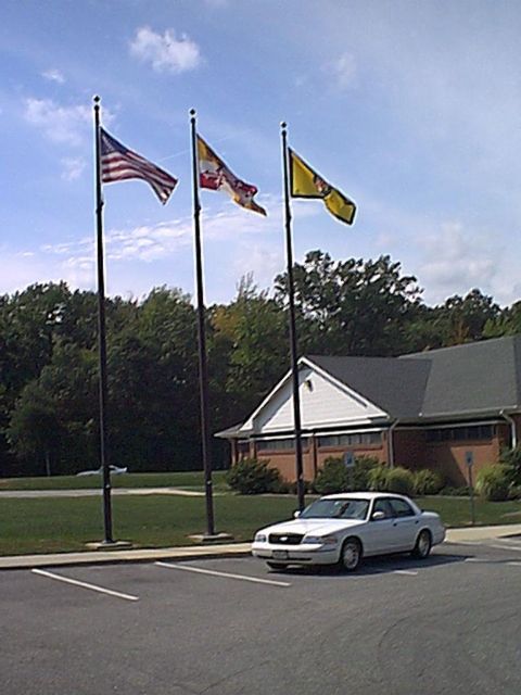 1998 Ford Crown Victoria - A white 1998 Ford Crown Victoria is parked in a lot with flags flying.