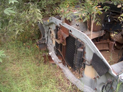 1979 Ford Bronco - The front end of a vehicle, including the radiator, is partially obscured by overgrown plants and grass.