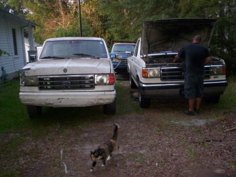 1991 Ford F-150 photo
