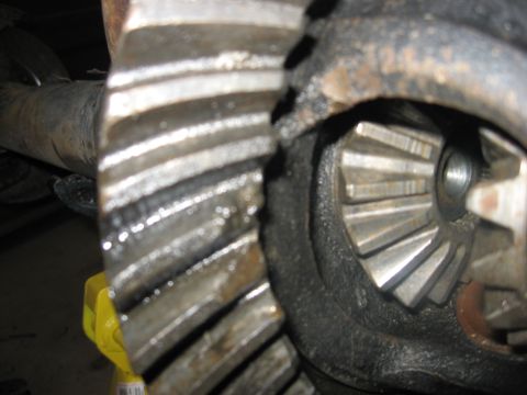 1988 Ford Bronco - Differential gears showing wear and lubrication.