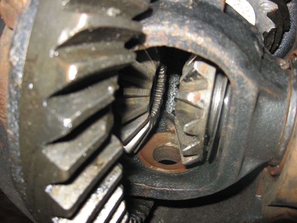Close-up of differential gears inside a housing