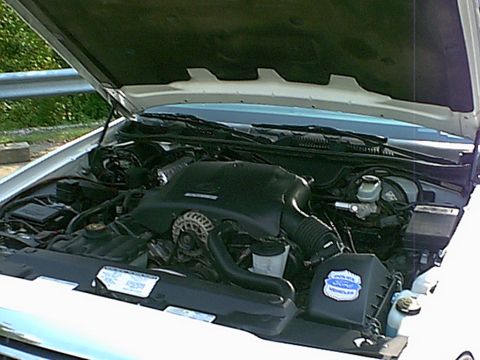 1998 Ford Crown Victoria - Engine compartment of a 1998 Ford Crown Victoria, viewed from above with the hood raised.